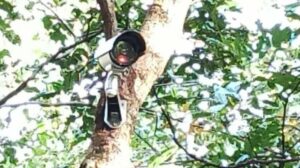Read more about the article सावंतवाडी वन विभागाच्या राखीव जंगल क्षेत्रात सीसीटीव्ही कॅमेरे कार्यान्वित..