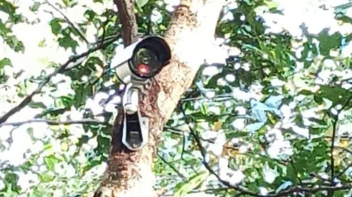 You are currently viewing सावंतवाडी वन विभागाच्या राखीव जंगल क्षेत्रात सीसीटीव्ही कॅमेरे कार्यान्वित..