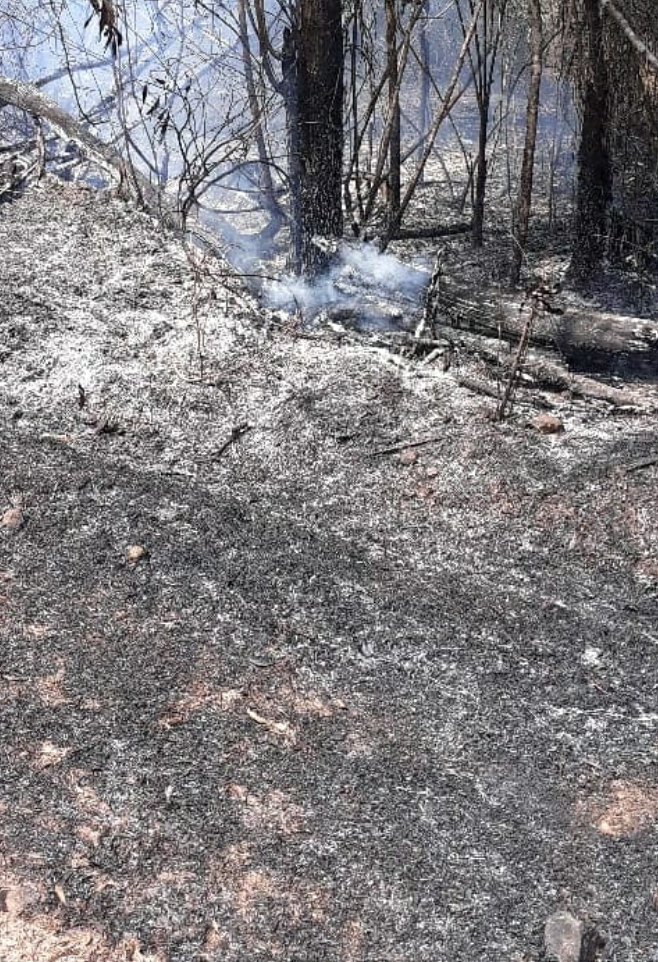 You are currently viewing मडुरा येथे काजू बागायतीला शॉर्टसर्किटमुळे आग…