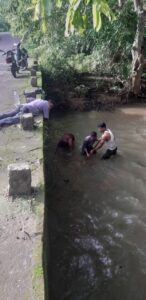 Read more about the article नानेली कालिका देवी पूलच्या तुंबलेल्या मोरी केल्या साफ
