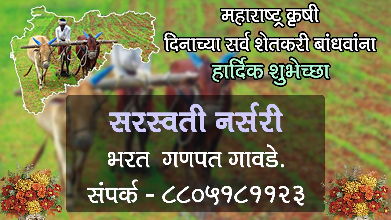 You are currently viewing महाराष्ट्र कृषी दिनाच्या समस्त शेतकरी बांधव आणि बागायतदारांना हार्दिक शुभेच्छा! – सरस्वती नर्सरी