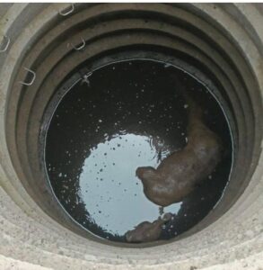 Read more about the article माजगाव मध्ये विहिरीत पडलेल्या गव्याच्या एका पिल्लाचा मृत्यूू…