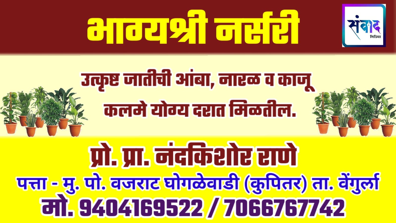 You are currently viewing महाराष्ट्र कृषी दिनाच्या सर्व शेतकरी बांधवांना हार्दिक शुभेच्छा! – भाग्यश्री नर्सरी