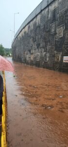 Read more about the article कासार्डे परिसरात ढगफुटी सदृश्य मुसळधार पाऊस; साळिस्तेत वीज पडुन एकाचा मृत्यू