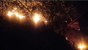 Read more about the article ‘नरेंद्र’ डोंगराला वणवा : झाडांसह पशुपक्षी आगीच्या भक्ष्यस्थानी