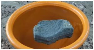 Read more about the article वेंगुर्ले तालुक्यातील समुद्रकिनाऱ्यावर सापडला पाण्यावर तरंगणारा ‘प्युमिस’ दगड