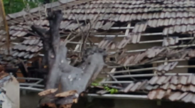 You are currently viewing कलंबिस्त येथे घरावर झाड कोसळून दिड लाखाचे नुकसान…