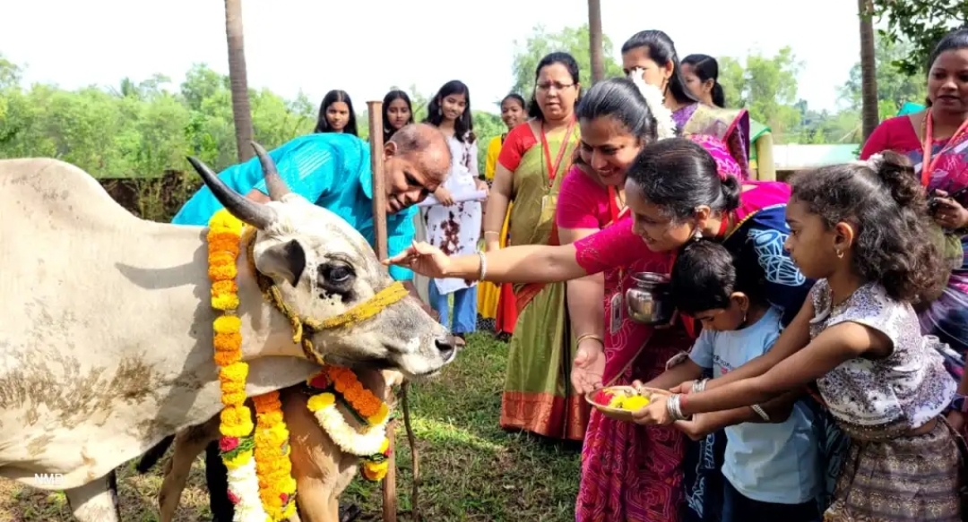 बॅ. नाथ पै शिक्षण संस्थेच्या सेंट्रल स्कूलमध्ये गोवत्स पूजन व गोवत्स नामकरणचा अनोखा सोहळा संपन्न