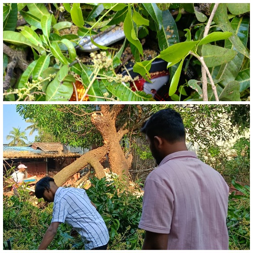 Read more about the article फोंडाघाट मध्ये वादळी सदृष्य वारा सुटल्याने जिर्ण आंब्याच्या वृक्षाची फांदी तुटून नुकसान