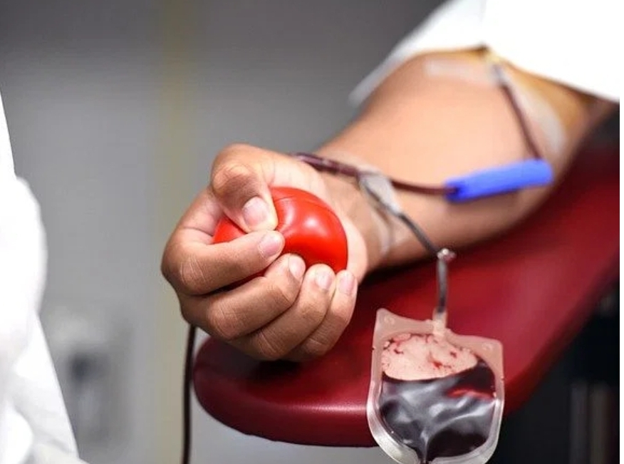 You are currently viewing मळगांव पिंपळवाडी येथे १२ मे रोजी रक्तदान शिबिर