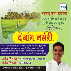 Read more about the article महाराष्ट्र कृषी दिनाच्या समस्त शेतकरी बांधव आणि बागायतदारांना हार्दिक शुभेच्छा! – राजेश शिरोडकर – देवांग नर्सरी