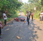 दाभोली हळदणकरवाडी रस्त्यावर इलेक्ट्रिक दुचाकी आणि बोलेरो यामध्ये ‌झालेल्या अपघातात युवक जागीच ठार