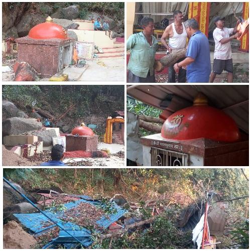 You are currently viewing मंदिरावरील झाड हटविण्यास सुरूवात