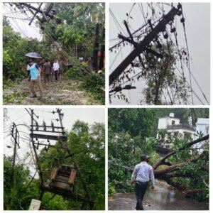 Read more about the article सावंतवाडी शहरांमधील धोकादायक व जीर्ण झालेली झाड पडण्याची सत्र सुरू.