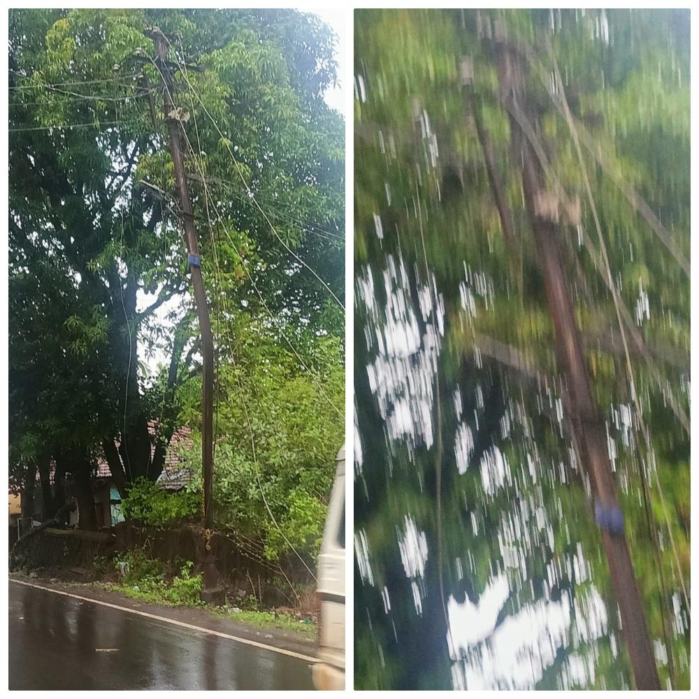 You are currently viewing पावसामुळे फोंडाघाट मारुतीवाडी येथे लाईटच्या लाईनवर झाड कोसळल्याने फोंडाघाट बाजारपेठ ८ तास अंधारात