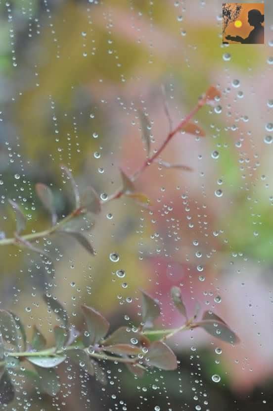 You are currently viewing पाऊस