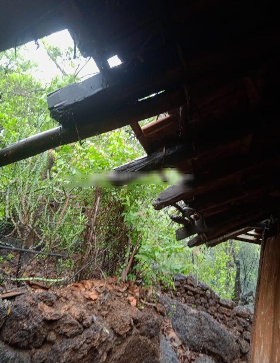 You are currently viewing देवगडमध्ये माडाचे झाड घरावर कोसळले