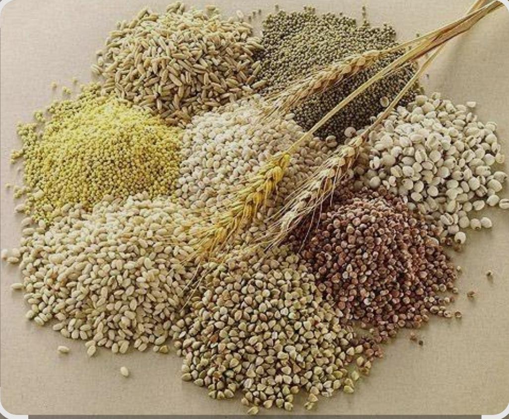 You are currently viewing पौष्टिक तृणधान्य उपअभियान (श्रीअन्न) पिक प्रात्यक्षिकासाठी 29 मेपर्यंत अर्ज करण्याचे आवाहन