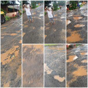 Read more about the article देवगड निपाणी रोडवर भले मोठे खड्डे