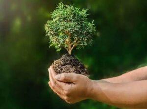 Read more about the article झाडे लावा झाडे लावा…