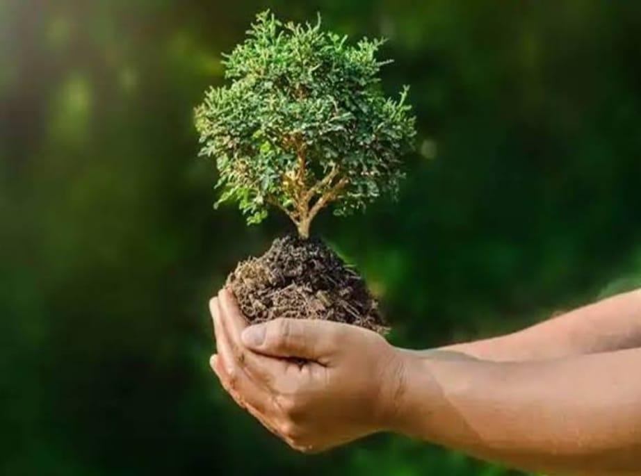 You are currently viewing झाडे लावा झाडे लावा…