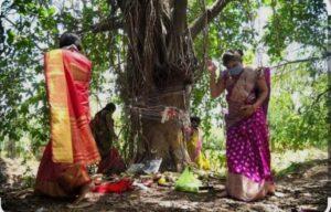 Read more about the article असाही एक वड…