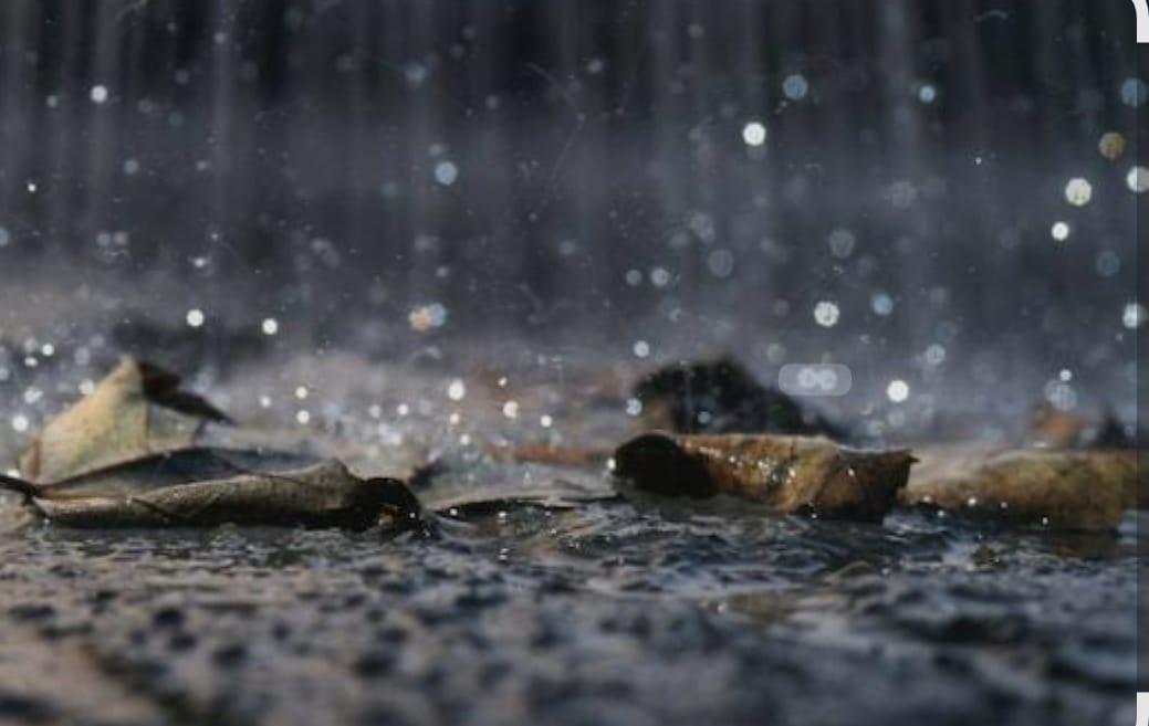 You are currently viewing मन तृप्त झाले