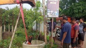 Read more about the article कणकवली डीपी रोड नजीकच्या गटाराच्या चेंबरमध्ये पडलेल्या बैलाला जीवदान