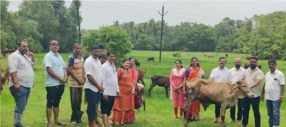 You are currently viewing शिवसेना स्थापना दिवसानिमित्त कुडाळ तालुका शिवसेनेच्या वतीने बेवारस गोवंशीय जनावरांना पशुखाद्याचे वाटप..