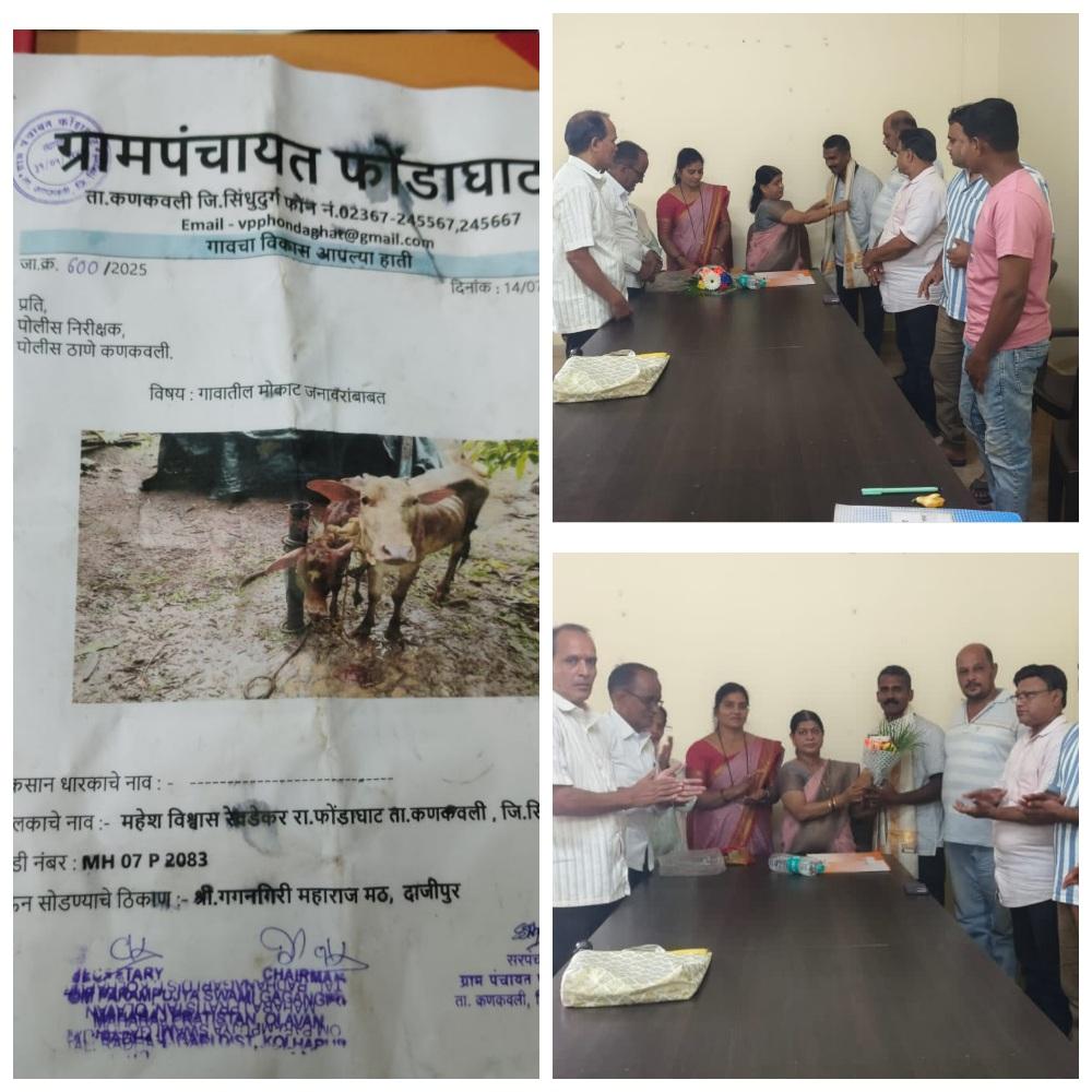 You are currently viewing गुरे रस्त्यावर सोडण्याऐवजी छावणीत पाठवा – फोंडाघाट ग्रामपंचायतीचा अभिनव उपक्रम