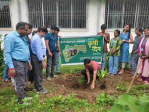 Read more about the article “महाराष्ट्र कृषी दिनानिमित्त डी जी बांदेकर ट्रस्टच्या वतीने बी. एस. बांदेकर महाविद्यालयात वृक्षारोपण कार्यक्रम”