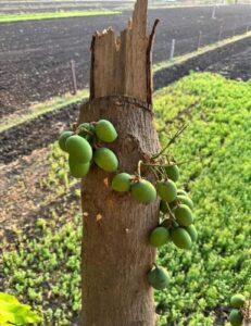 Read more about the article उभा ठाम मी आहे…