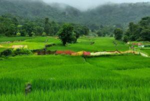 Read more about the article अवनी वसंत फुलला गे !