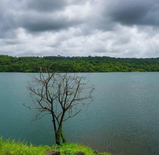 You are currently viewing आला धुंदीत श्रावण!