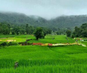 Read more about the article श्रावणाचे स्वागत