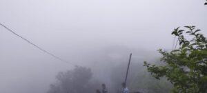 Read more about the article आला श्रावण श्रावण