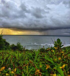 Read more about the article आला आषाढ – श्रावण