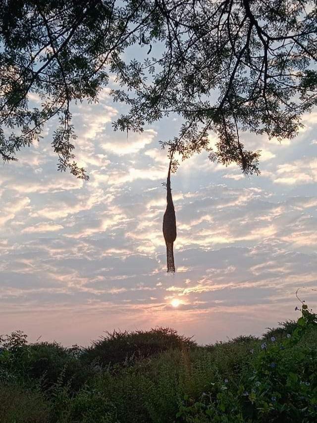 You are currently viewing देखणा श्रावण मंगल श्रावण