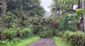 Read more about the article फोंडाघाट पावणादेवी रस्ता बंद; लोकांची ग्रामपंचायतीकडे लक्ष देण्याची मागणी