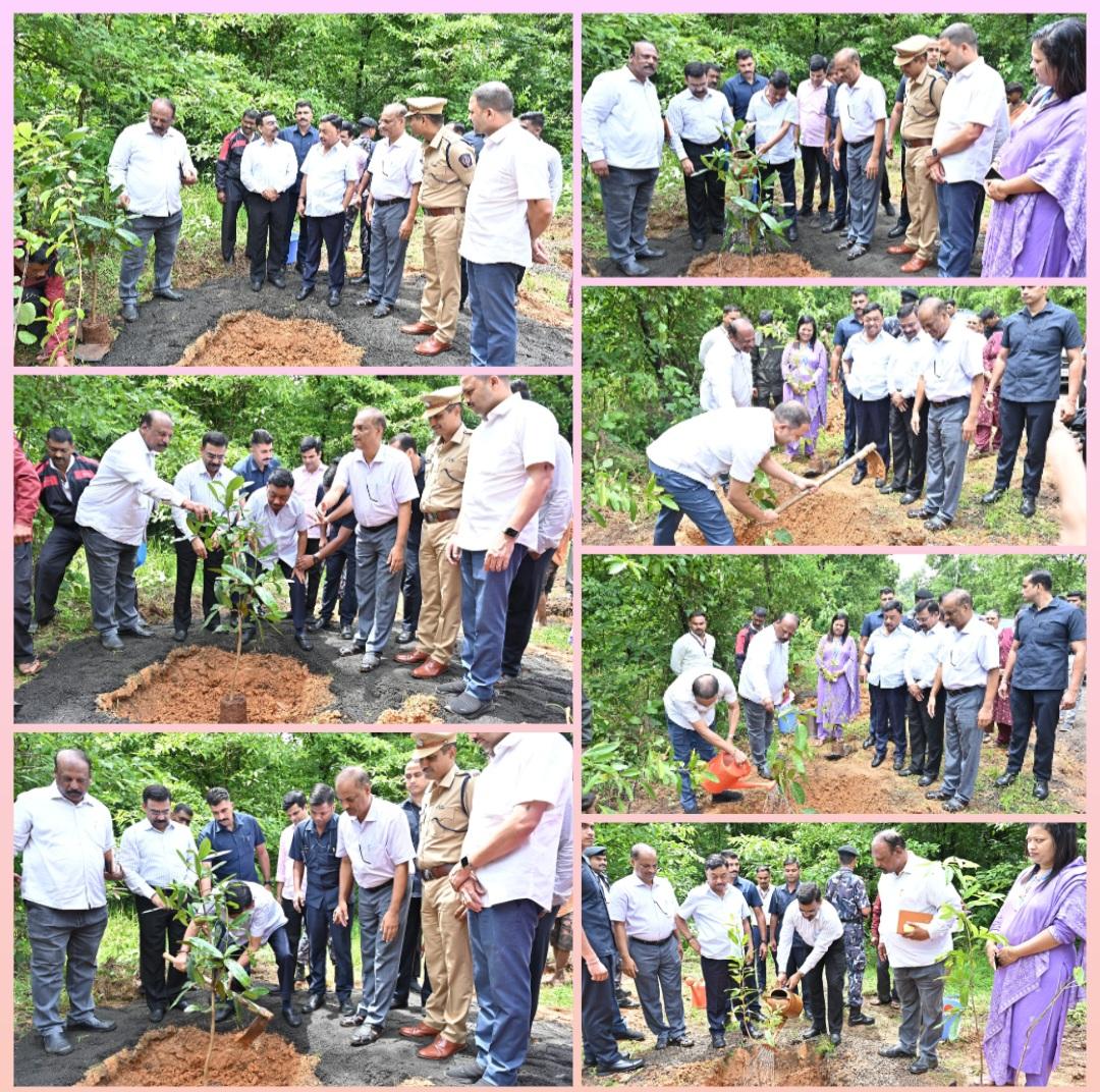You are currently viewing खासदार नारायण राणे यांच्या हस्ते वृक्षारोपण