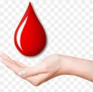 Read more about the article वेंगुर्ल्यात उद्या रक्तदान शिबीर.