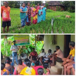 Read more about the article शेतीशाळेतुन शेतकऱ्यांना भात पिकावरील कीड व रोग या बद्दल मार्गदर्शन