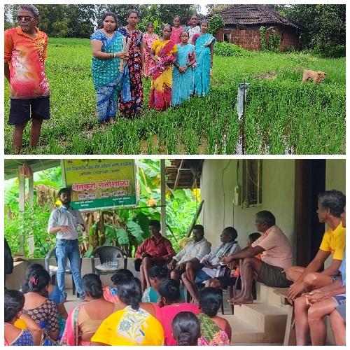 You are currently viewing शेतीशाळेतुन शेतकऱ्यांना भात पिकावरील कीड व रोग या बद्दल मार्गदर्शन