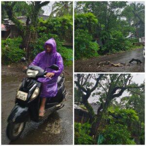 Read more about the article गोविंद चित्र मंदिर समोरील रस्त्यावर सुकलेल्या वृक्षाची भली मोठी फांदी पडली मोटर सायकल स्वार सुदैवाने वाचला.