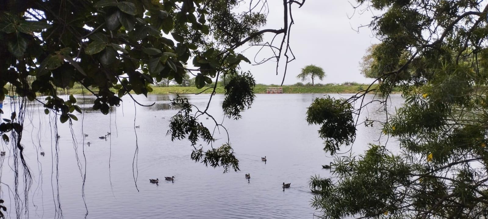 You are currently viewing सरता श्रावण