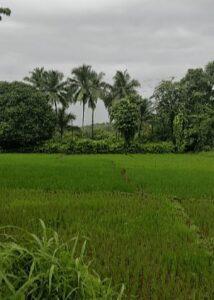 Read more about the article वारा मारतो मधून शिट्ट्या