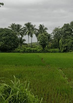 You are currently viewing वारा मारतो मधून शिट्ट्या