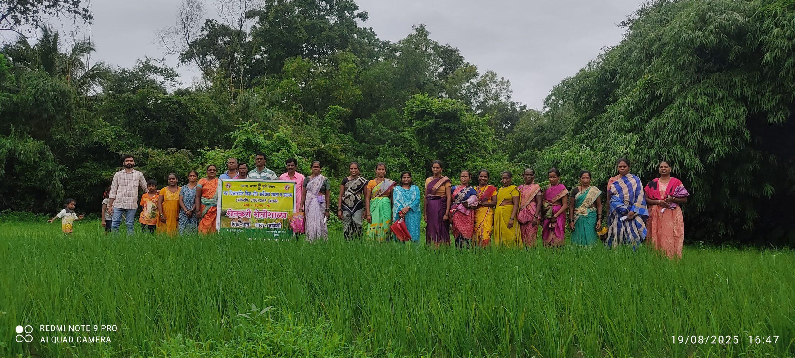 You are currently viewing नानेली येथे भात पिक शेतीशाळेचे यशस्वी आयोजन