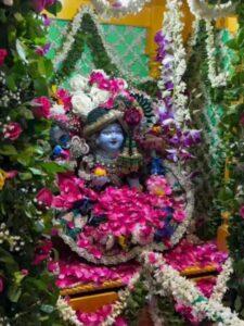 Read more about the article श्रीकृष्णाची पालखी