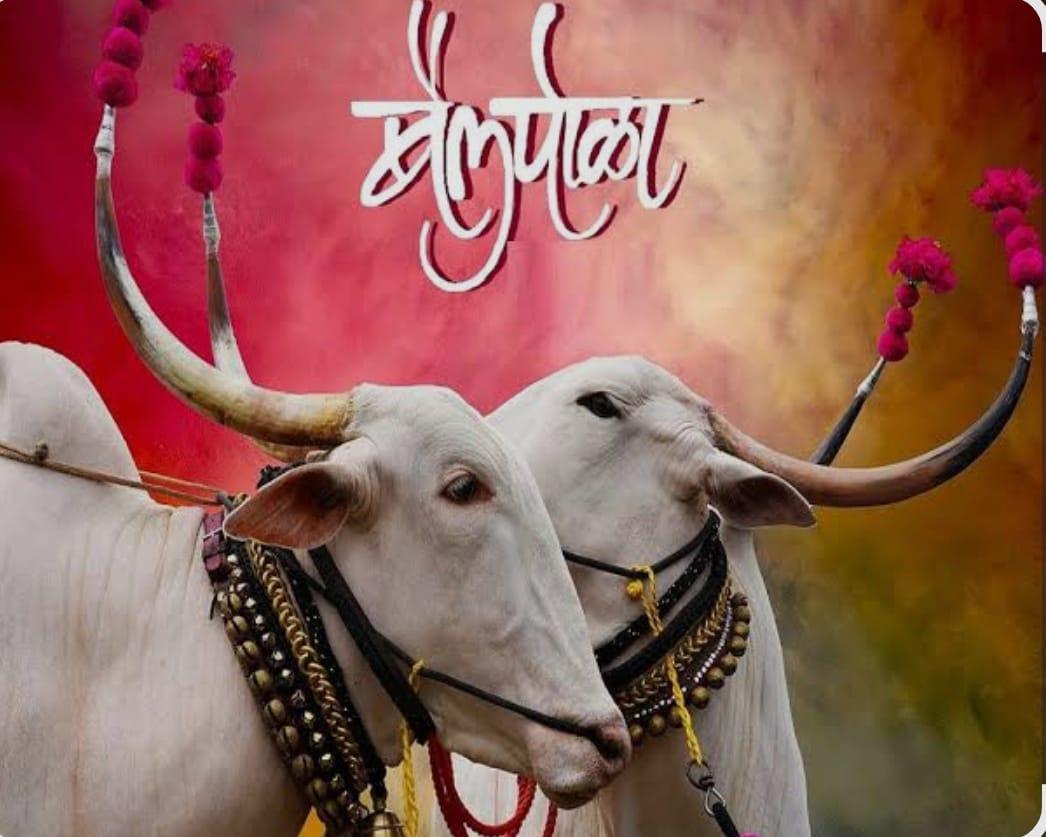 You are currently viewing बैलपोळा